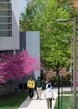 Students walk while having a conversation. They are walking between multiple buildings on the SciTech campus, with trees visible around them.